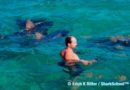 Erich Ritter con degli squali
