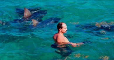Erich Ritter con degli squali
