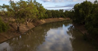 fiume Darling nel New South Wales, Australia