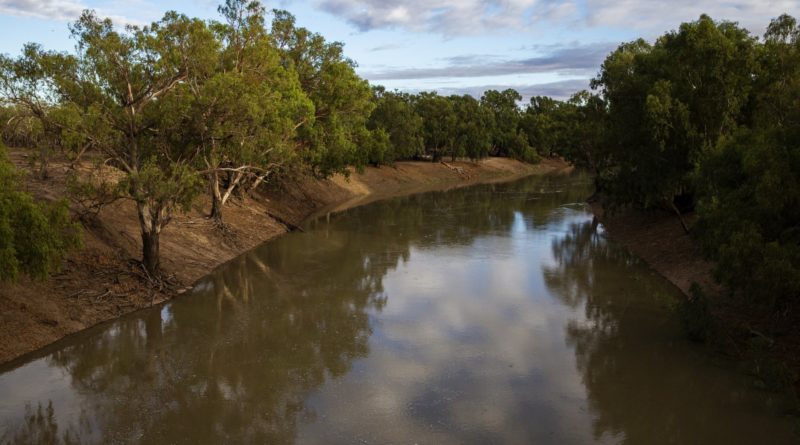 fiume Darling nel New South Wales, Australia