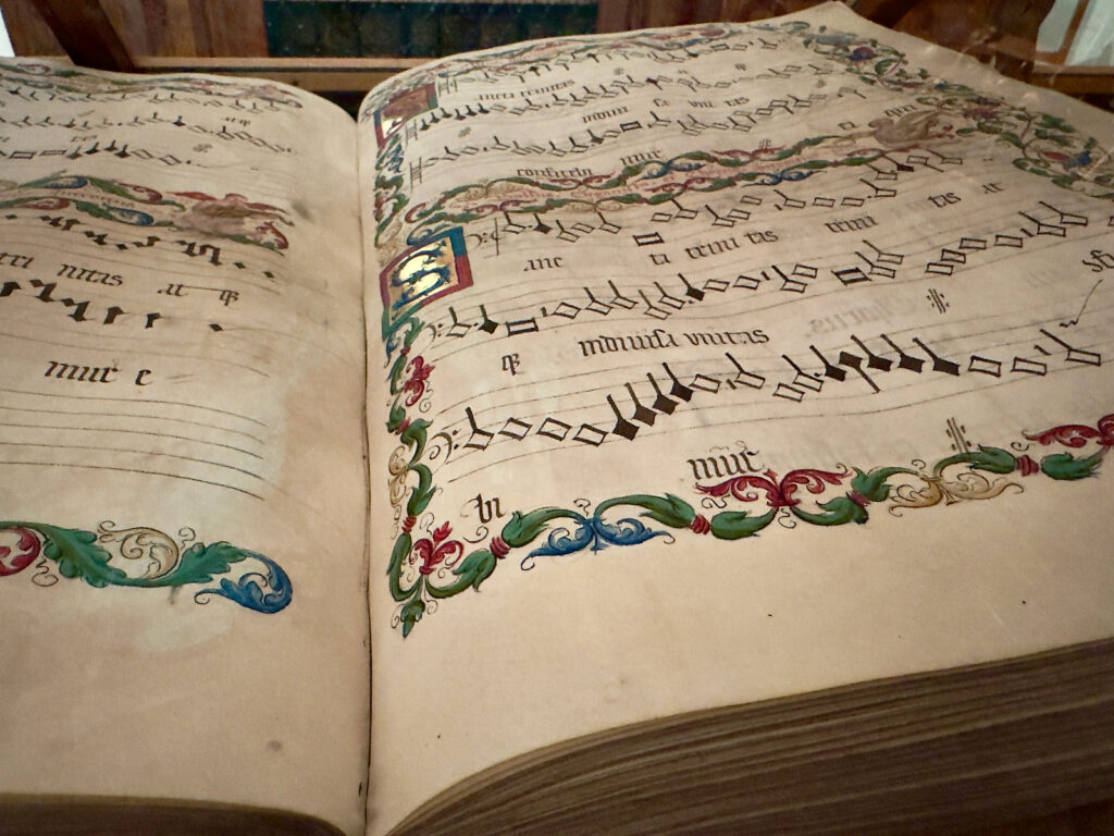 Visita San Gallo - Biblioteca dell'Abbazia di San Gallo (UNESCO) 