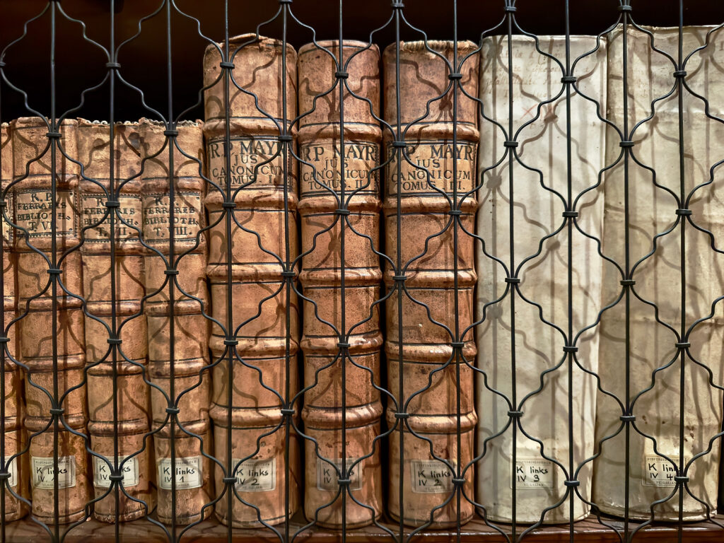Visita San Gallo - Biblioteca dell'Abbazia di San Gallo (UNESCO) 