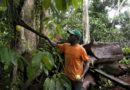 La piaga del lavoro minorile nella filiera del cacao